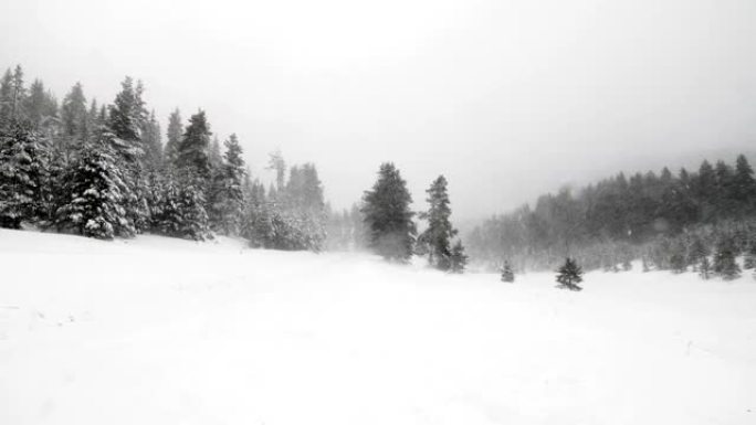 POV，在白雪的冬天风景中记录。