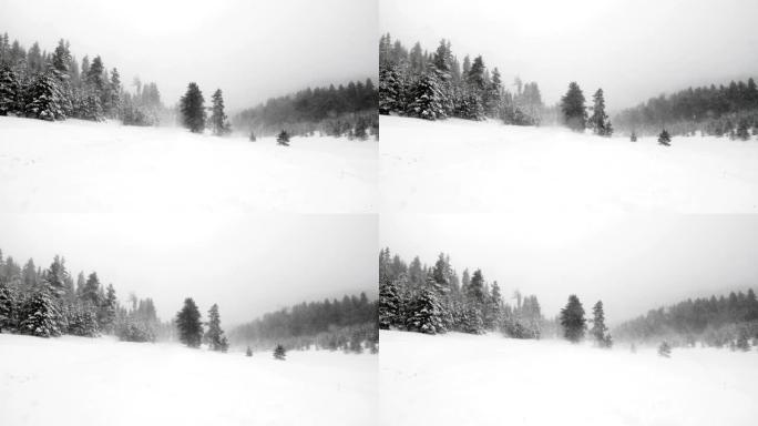 POV，在白雪的冬天风景中记录。