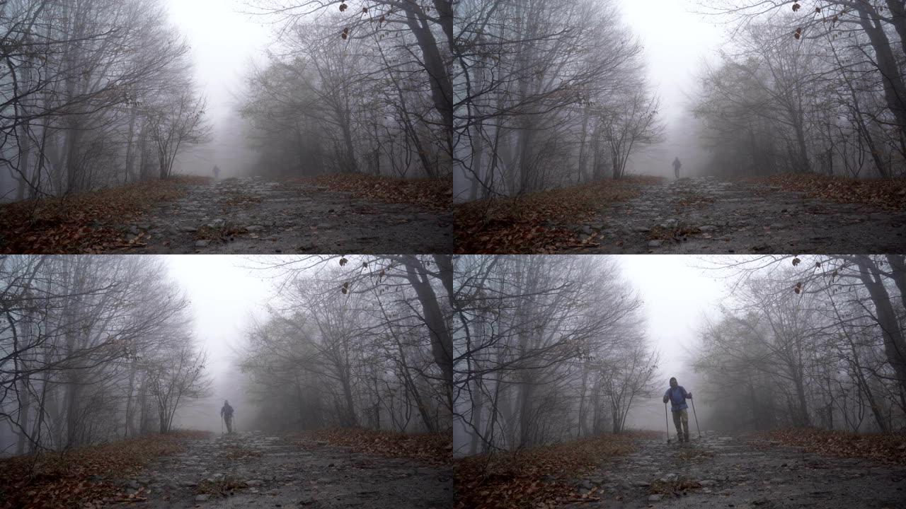 穿着蓝色旅游夹克的孤独失落者使用手杖在潮湿的雾蒙蒙的森林路上行走