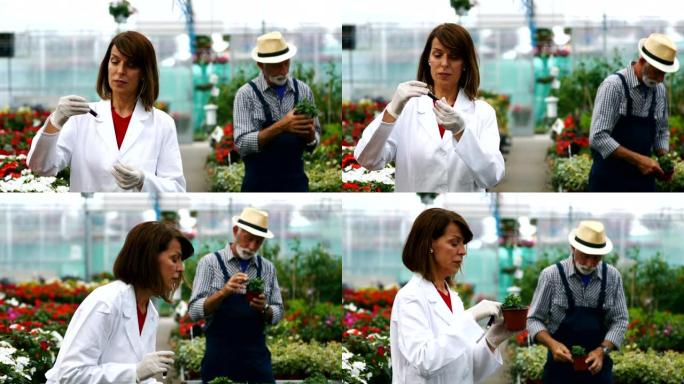 花卉温室里的生物学家。