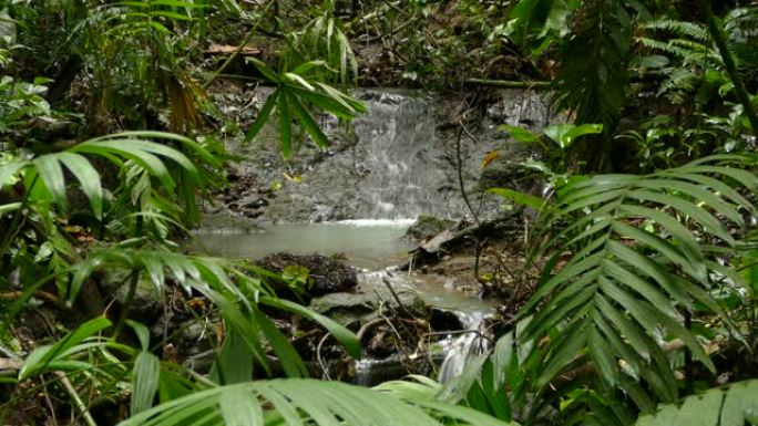 在繁忙的雨林中，水落在岩石上的瀑布的两张照片