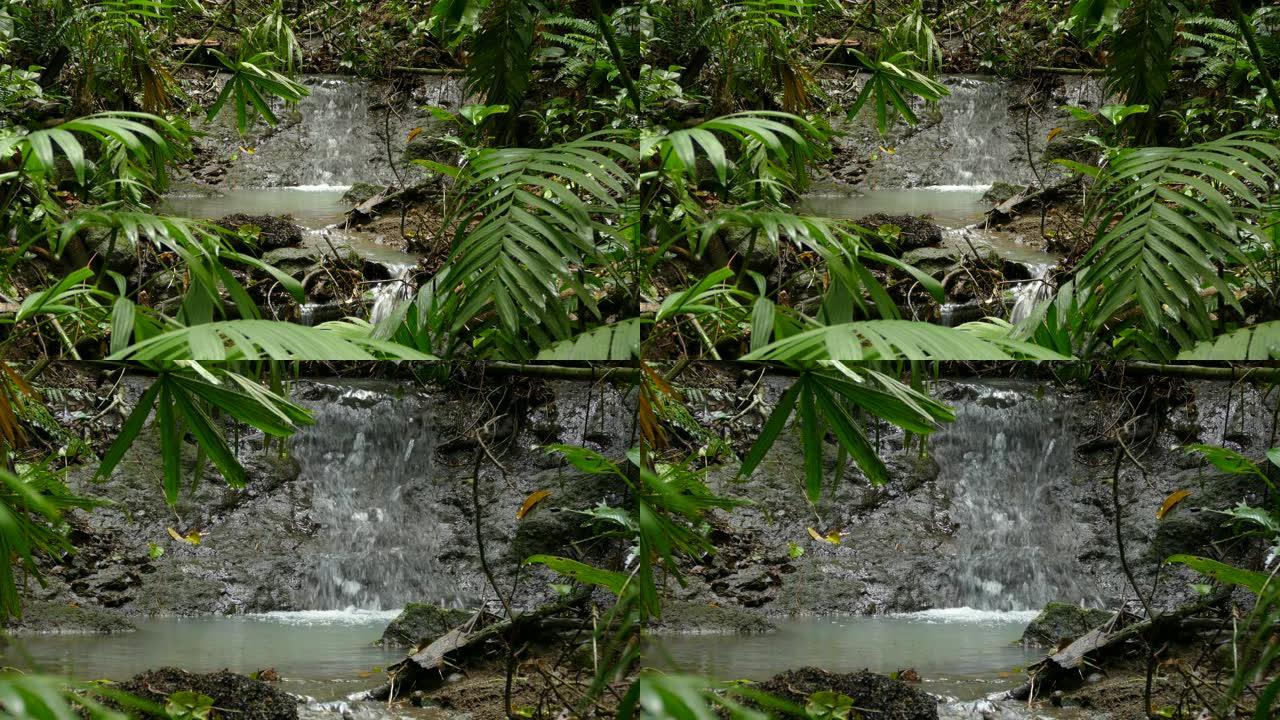 在繁忙的雨林中，水落在岩石上的瀑布的两张照片