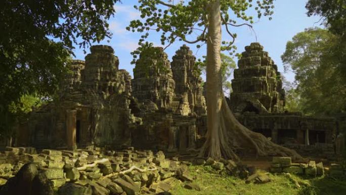 柬埔寨暹粒Banteay Kdei寺遗址中长满树木吴哥考古公园