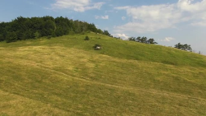 在山区景观背景下，在绿色草地上放牧的马的航拍视频。无人机的观点。