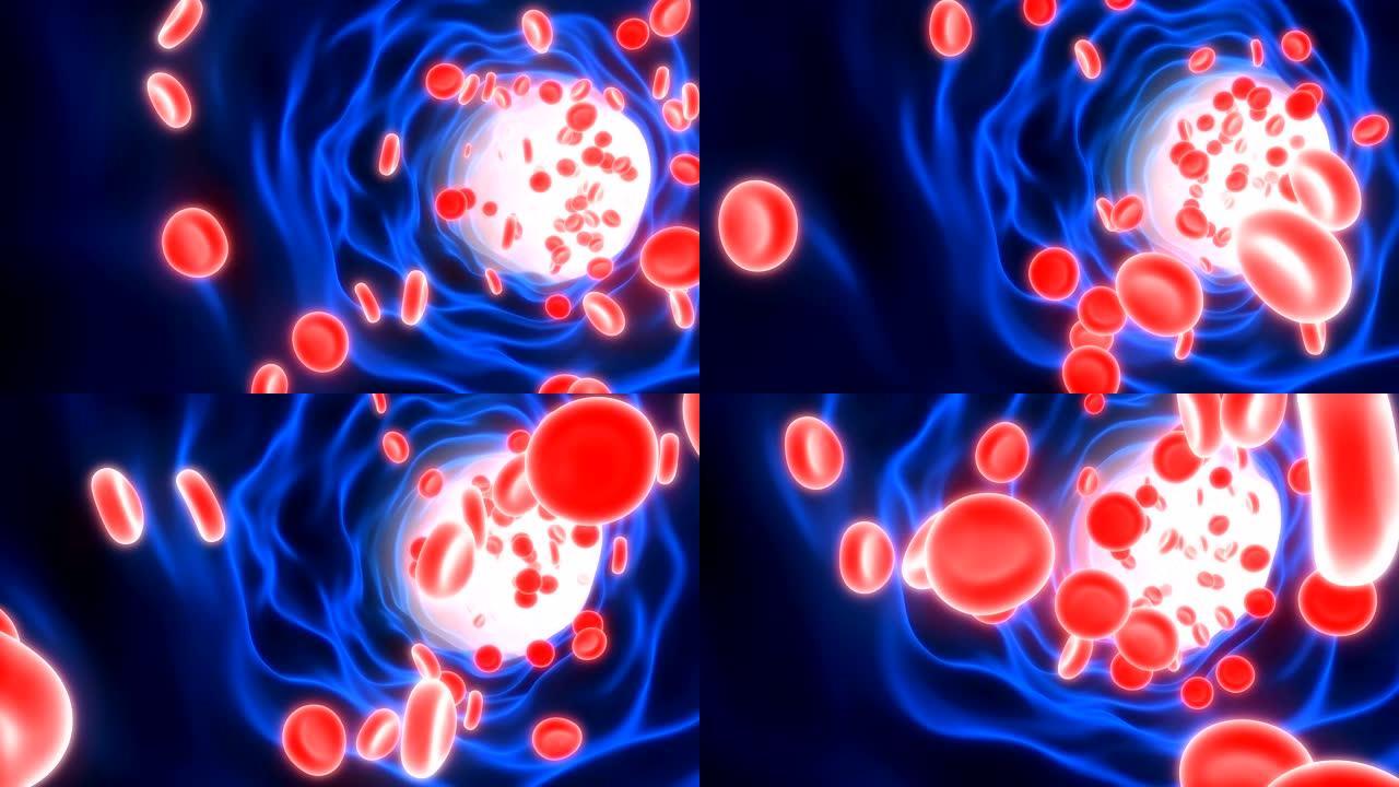 流经循环系统动画的红细胞