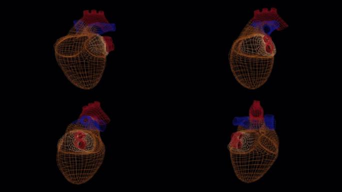 心脏扫描动画。用于检测疾病和心血管系统问题的接口。