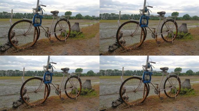 在智能手机上拍摄的稻田旧自行车