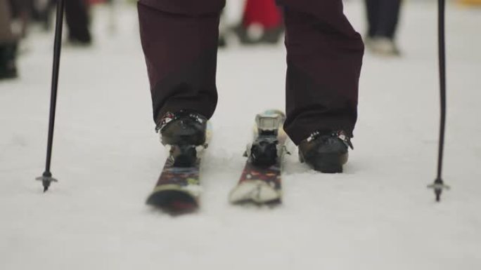 越野滑雪者将滑雪板放在雪上并穿上，准备练习。股票视频