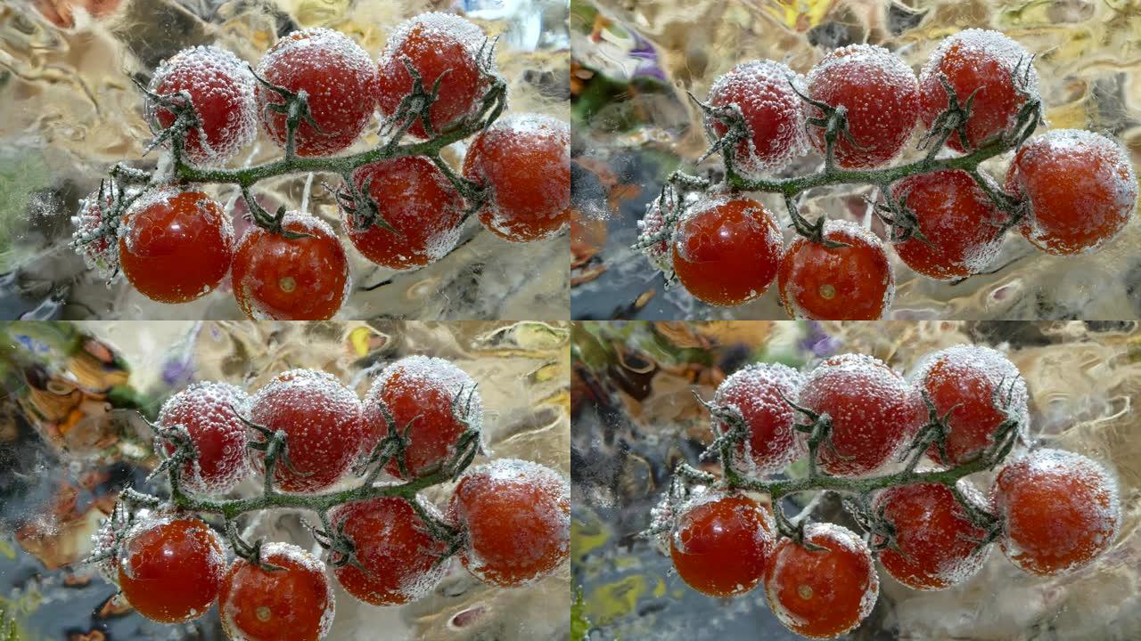 冷冻在冰块中的樱桃番茄