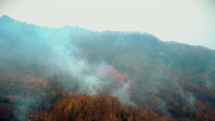 森林大火的烟雾。森林砍伐和气候危机。泰国雨林大火的有毒雾霾，马鸿山。航空视频4k