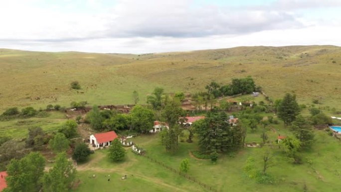阿根廷牛牧场和周围的潘帕斯草原