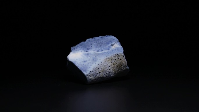 蓝珊瑚岩矿化石标本