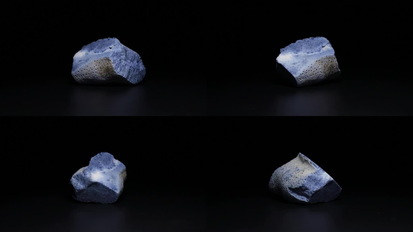 蓝珊瑚岩矿化石标本