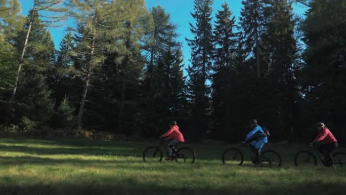 年轻朋友在森林草坪上从右到左骑自行车的美丽景色。MTB电动自行车，在夏季积极度假和探索自然。