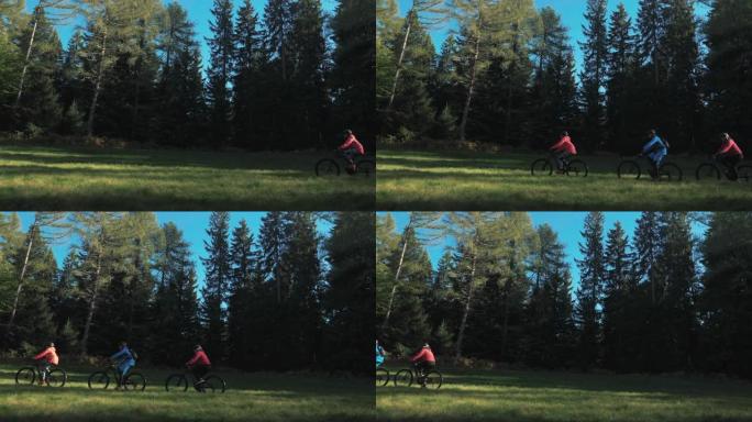 年轻朋友在森林草坪上从右到左骑自行车的美丽景色。MTB电动自行车，在夏季积极度假和探索自然。