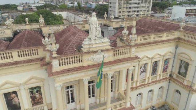 司法部，马瑙斯/巴西3月23日2018: 低空空中拉回秃鹰栖息在巴西亚马逊马瑙斯市司法部大楼顶部的古