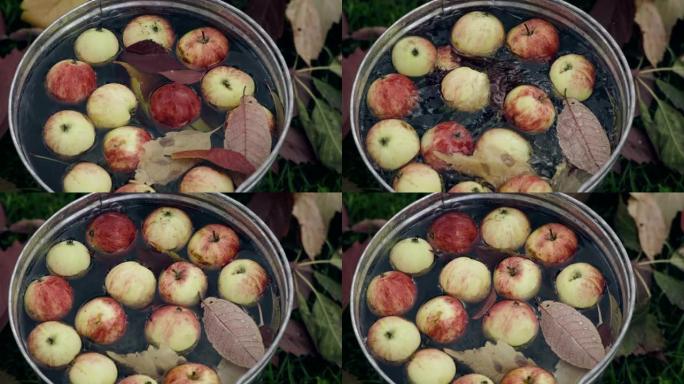 装满水的桶中的红色成熟苹果