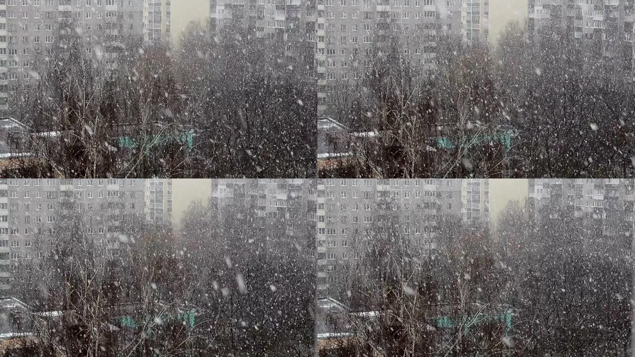 多层房屋和树木背景下的城市降雪