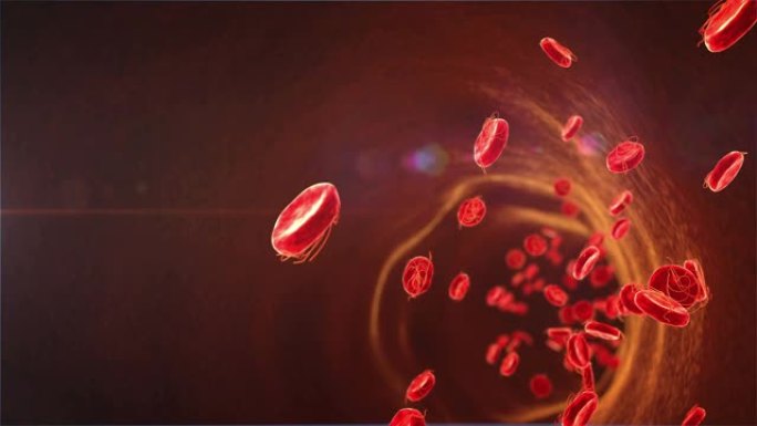 红细胞上的病毒红细胞上的病毒细菌
