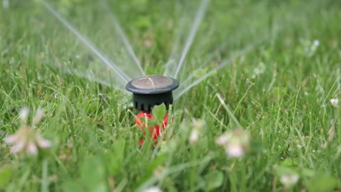 自动灌溉系统，草坪洒水喷雾器，用于浇灌草和植物