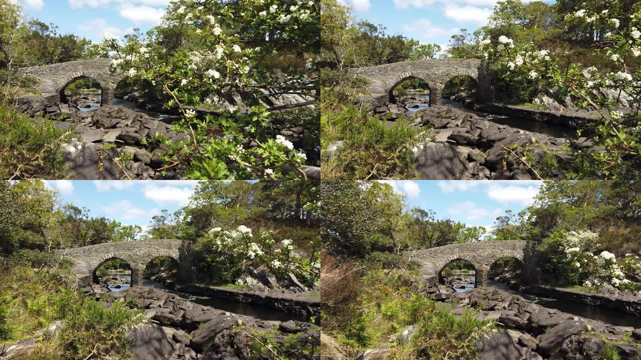 爱尔兰基拉尼国家公园的旧堰桥
