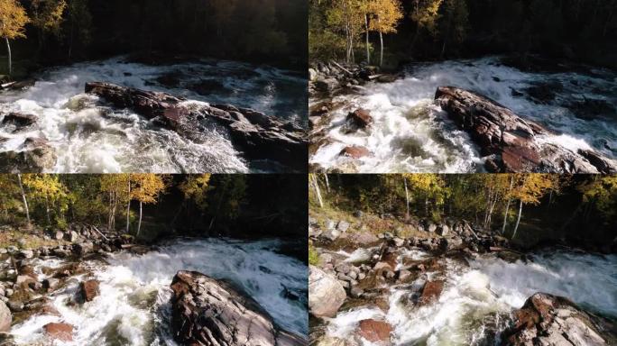 秋天森林中的河上瀑布