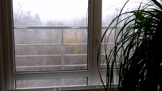 从城市的窗户，公园，冬天开始，强风，初雪，暴风雪。雨湿雪