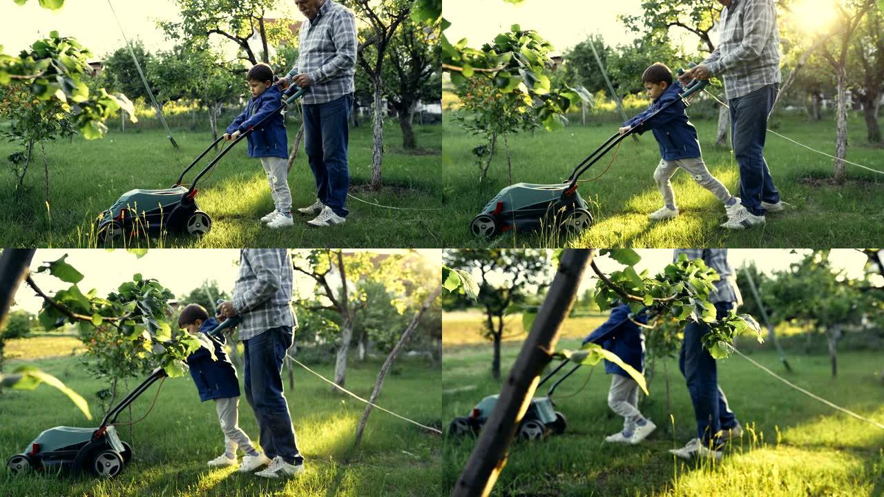 男孩在花园里帮助爷爷