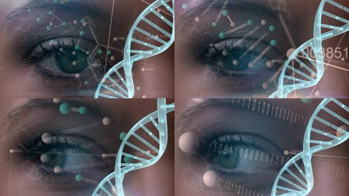 女性眼睛与DNA模型