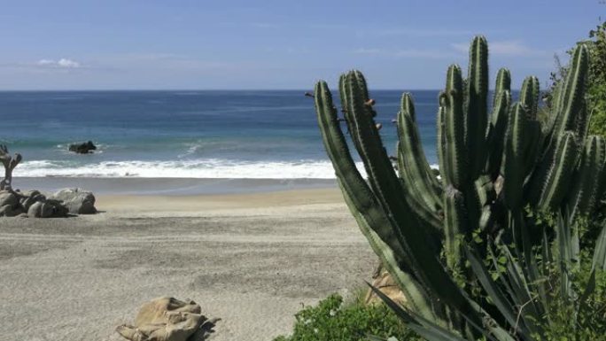 墨西哥海岸、仙人掌和海滩