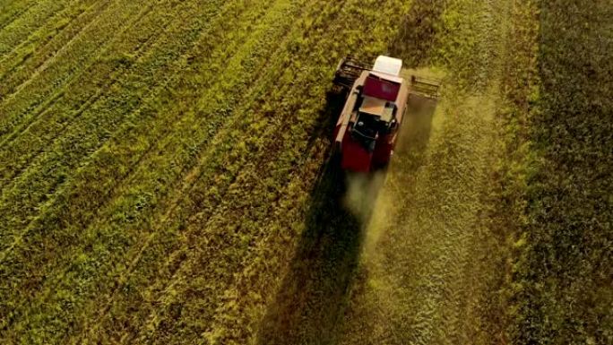 老式联合收割机在食品工业和农业综合企业农业领域切割小麦