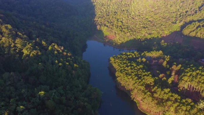 森林河环境保护山体植被可持续发展