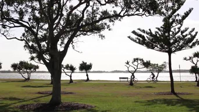 公园和树木的人散步，骑自行车，骑自行车健康的生活方式澳大利亚景观海边