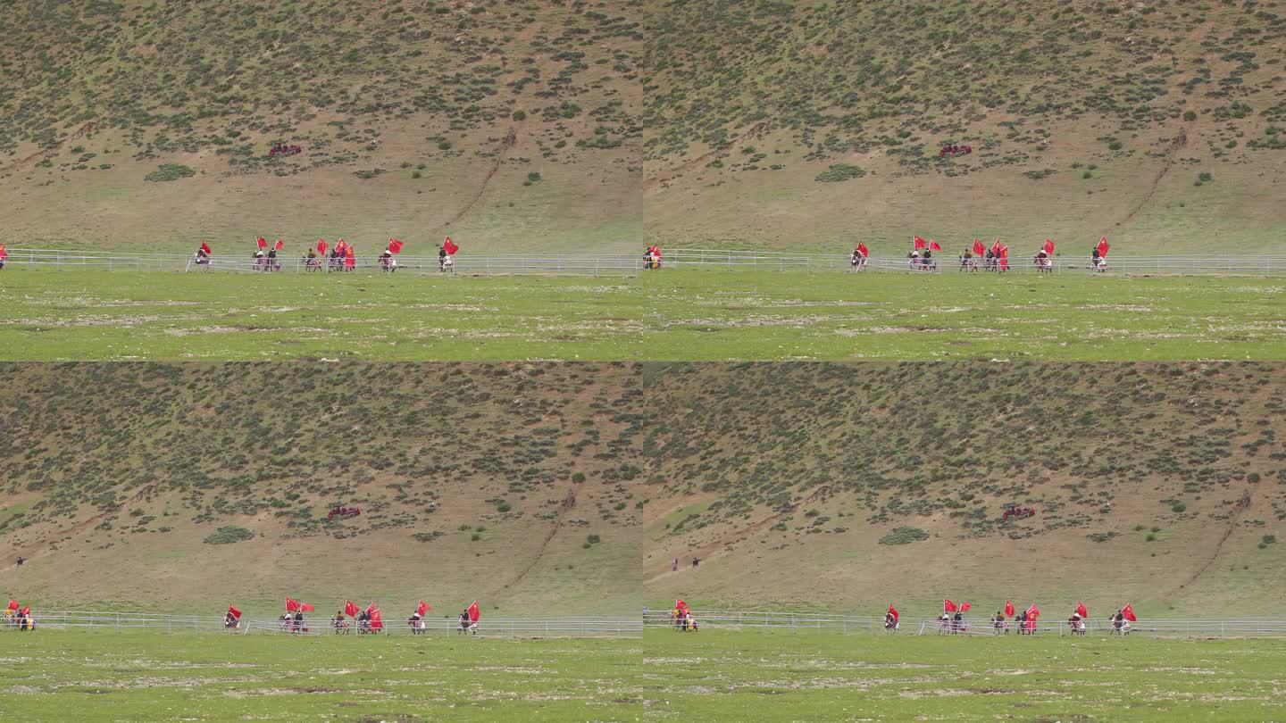 藏族 骑马 赛马 赛事 骏马比赛 草原