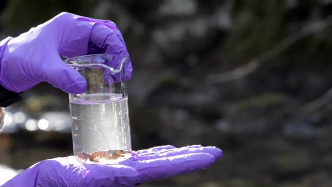 生物学家研究淡水动物和环境