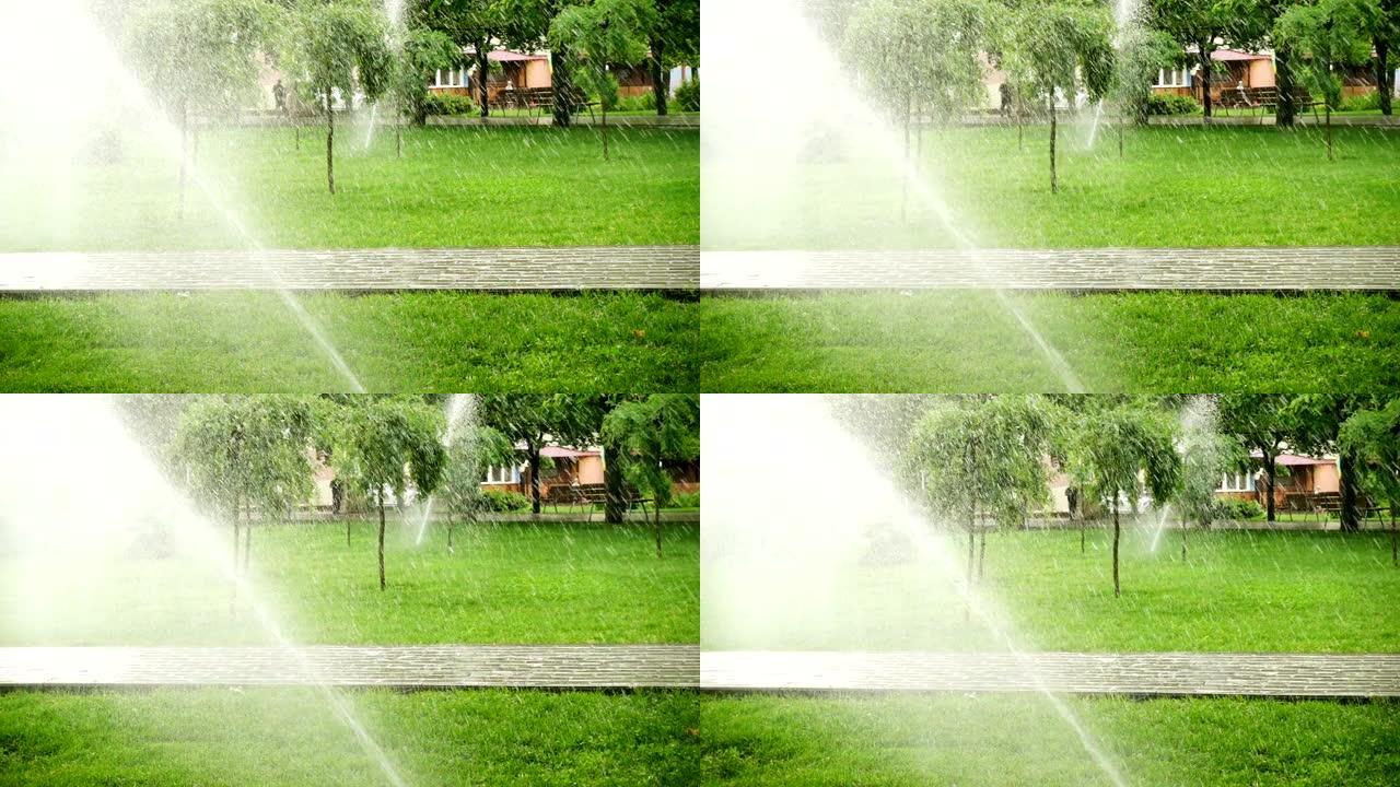 公园草地上的草洒水器