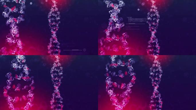 DNA双螺旋自身免疫性疾病科技基因工程。概念动画3D渲染。