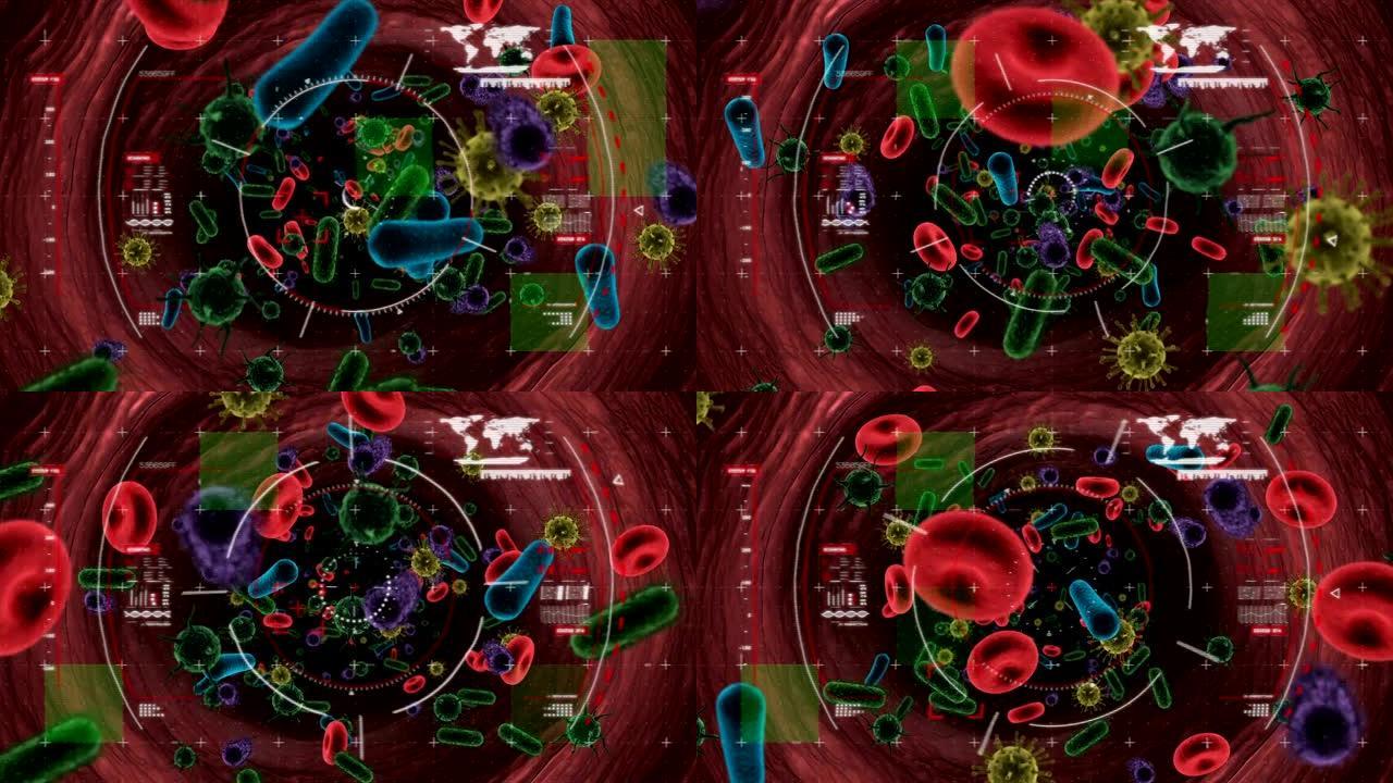 红细胞和细菌的动画和电晕病毒