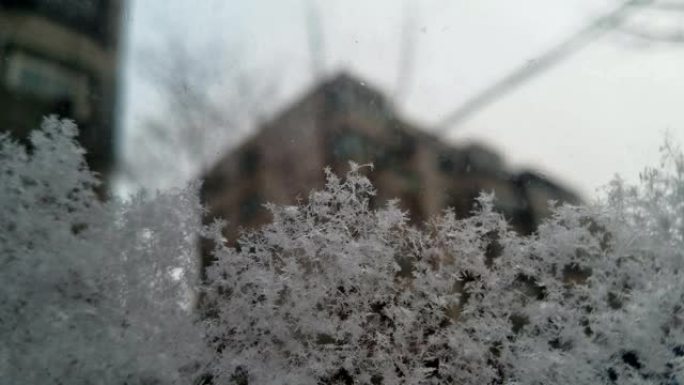 雪花飘落在阴沉的天空