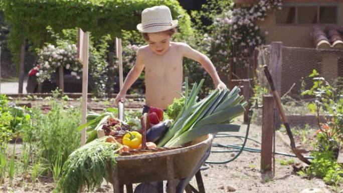 男孩在院子里的手推车上背着蔬菜