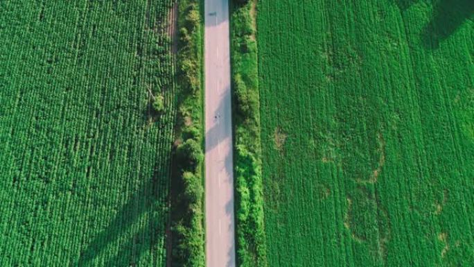 空中公路旅行。从上方直接看到穿过农田的道路。