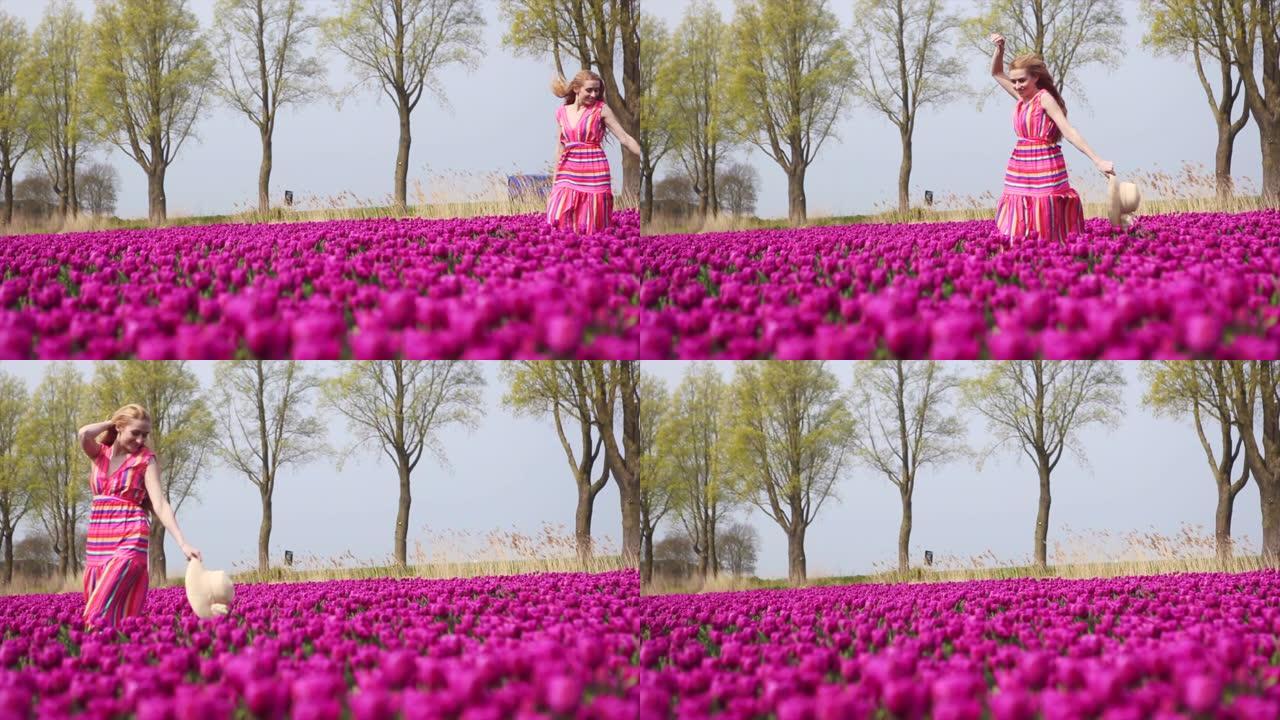 女孩拿着花束五颜六色的郁金香花，站在紫色的郁金香田里。