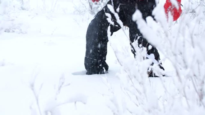 一位男性旅行者在大雪中漫步在树林中。