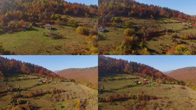 在阳光明媚的秋天，在散布着房屋和橙色落叶松森林的小山村上空前进。山间蜿蜒的山路鸟瞰图。