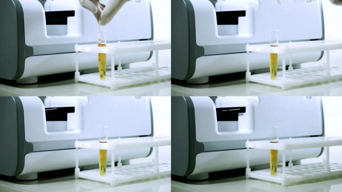 男性实验室工作人员在现代设备下进行尿液样本。高清