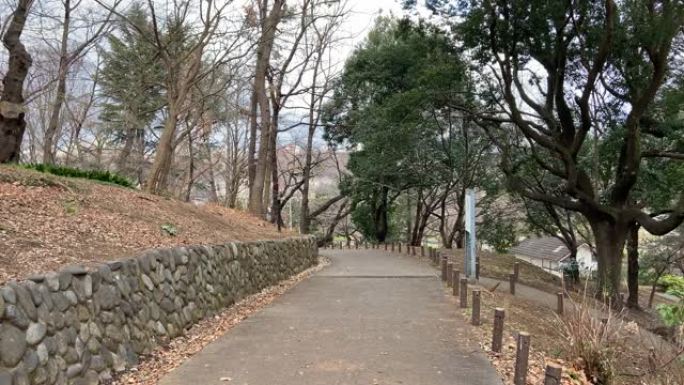 日本东京公园景观日