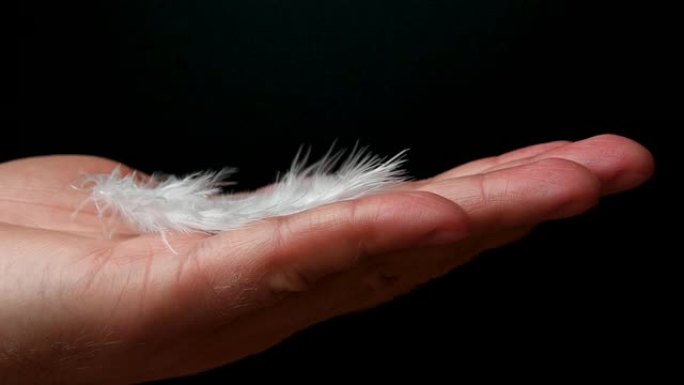 男人从手掌上吹走白色羽毛