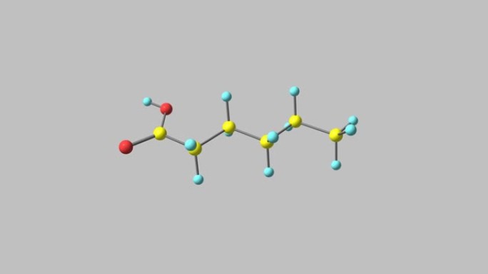 旋转分离己酸分子视频