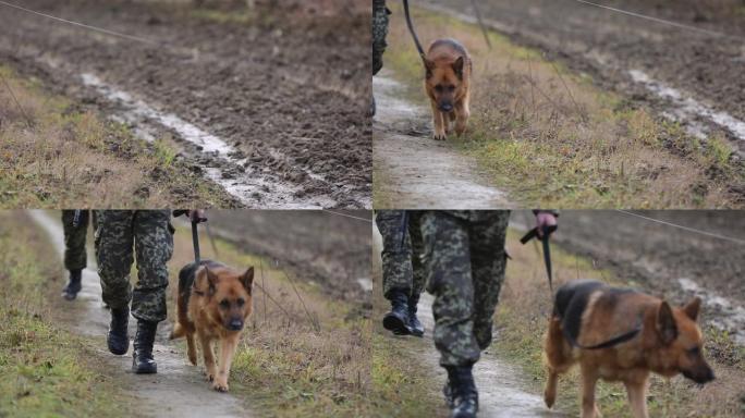 一条狗和一名士兵正在边境巡逻