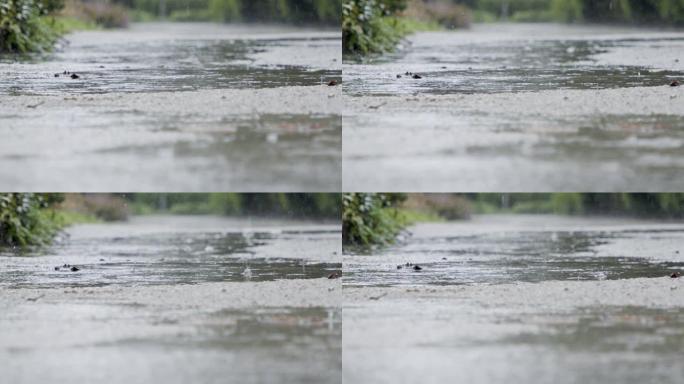 缓慢运动的雨滴落入水坑中，水溅起